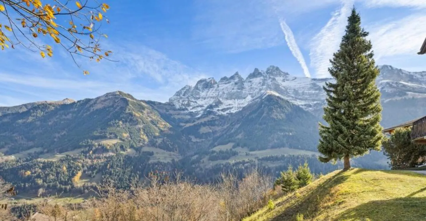 Stunning New Chalet in Champéry - Photo 7 of 9