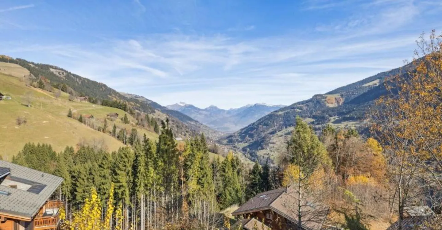Stunning New Chalet in Champéry - Photo 8 of 9