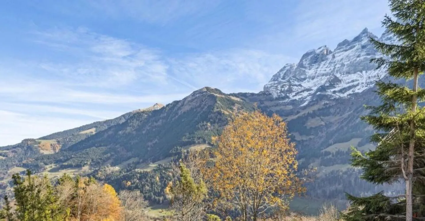 Stunning New Chalet in Champéry - Photo 9 of 9