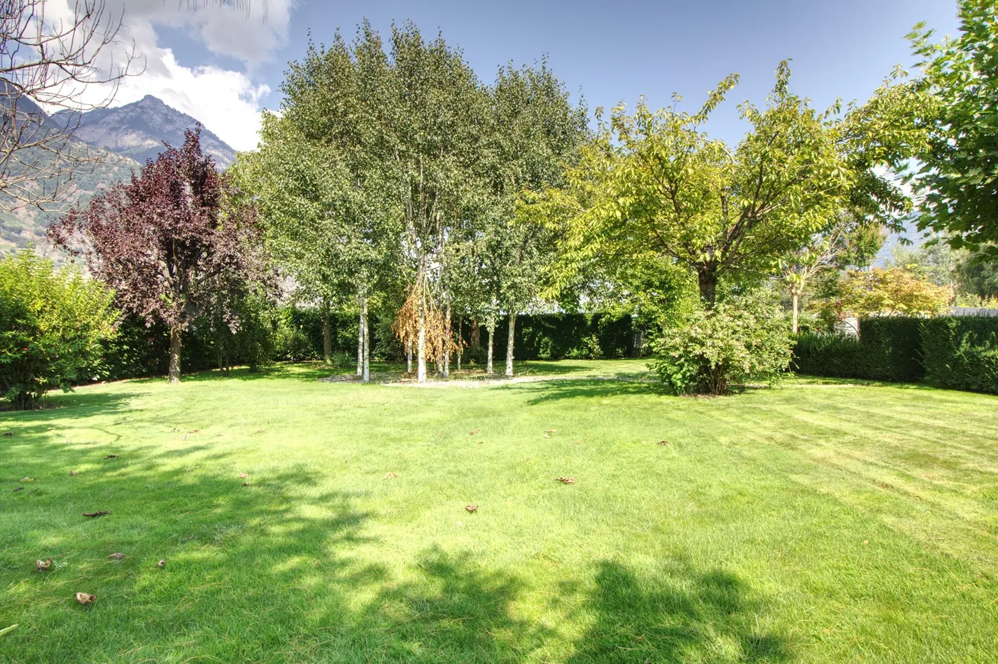 Cadre Naturel Unique - Photo 3 sur 20