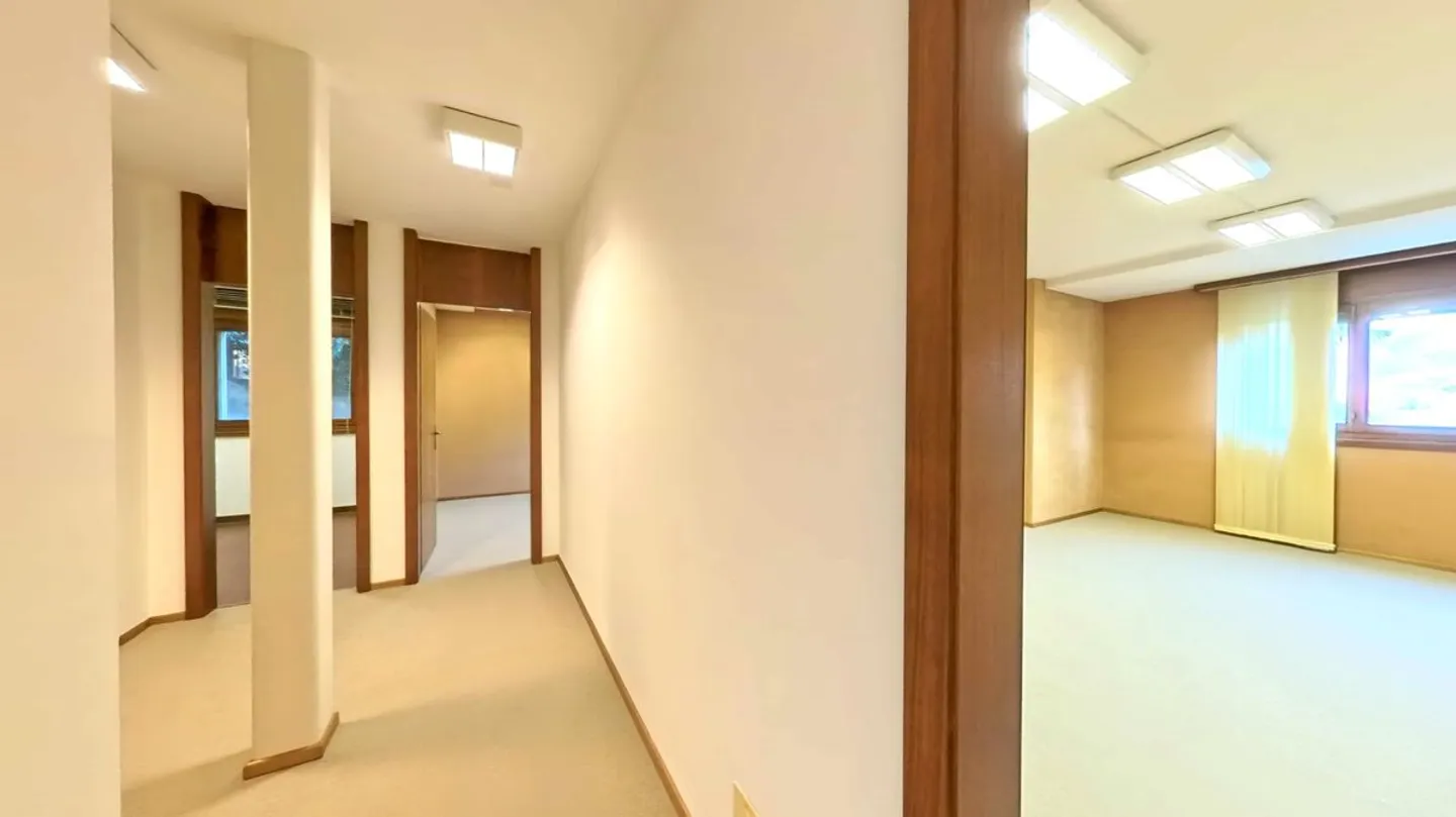 Elegant Office with Lake View - Photo 10 of 12