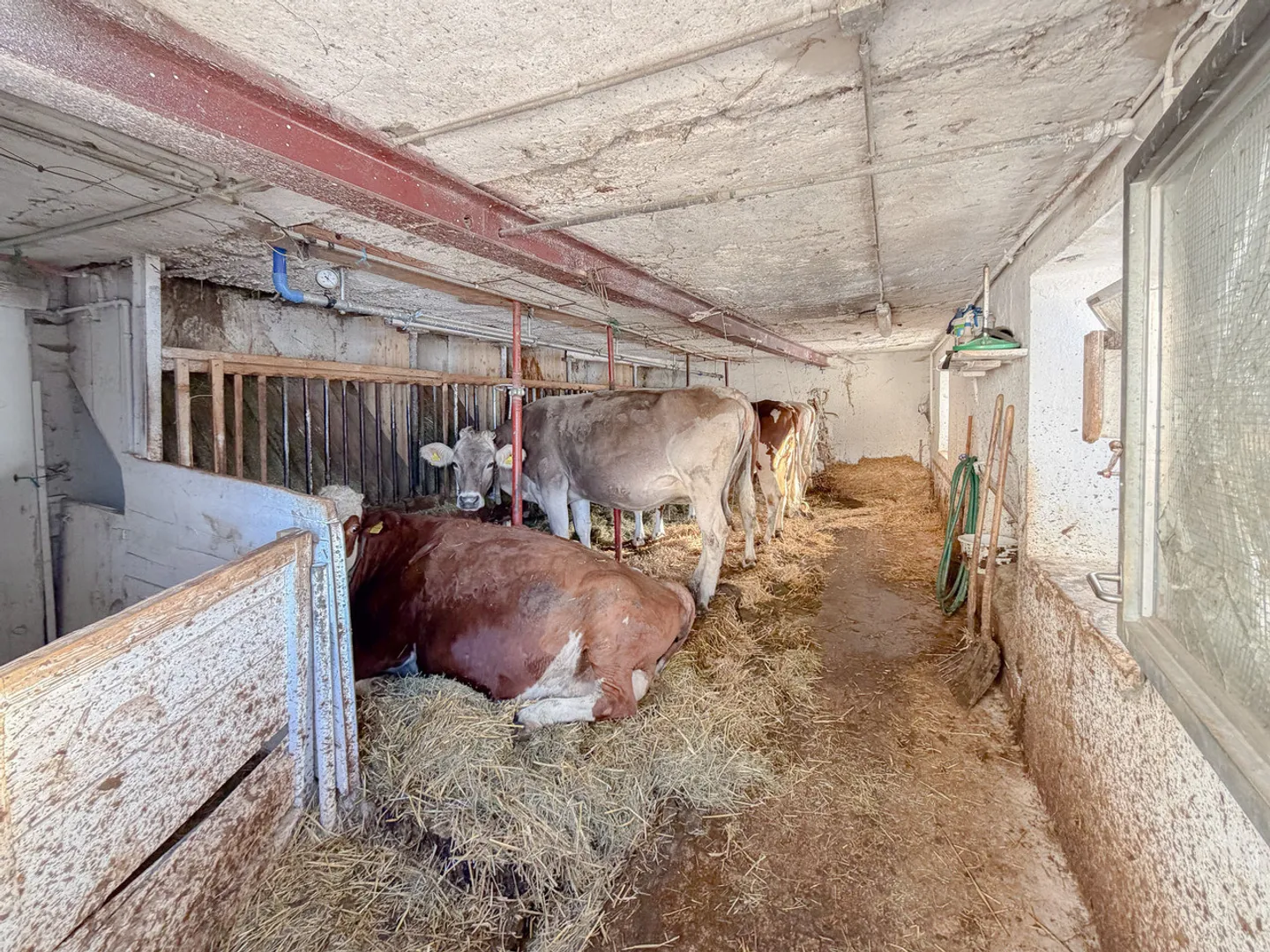 Scheune zu renovieren mit Möglichkeit zur Schaffung mehrerer Wohnungen - Foto 8 von 10