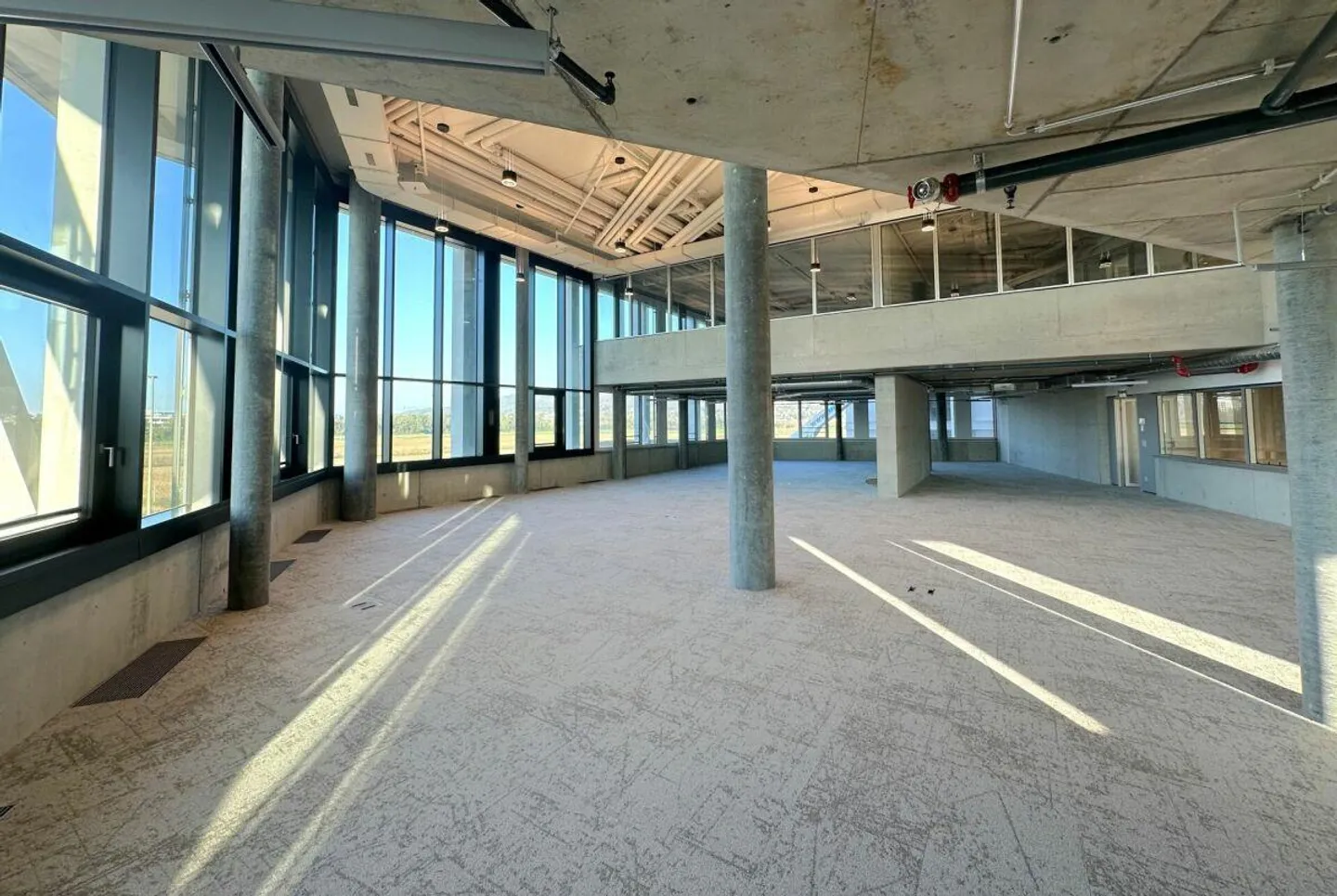 Plus d'espace pour votre entreprise – 314 m² dans Vivo Aesch - Photo 3 sur 8