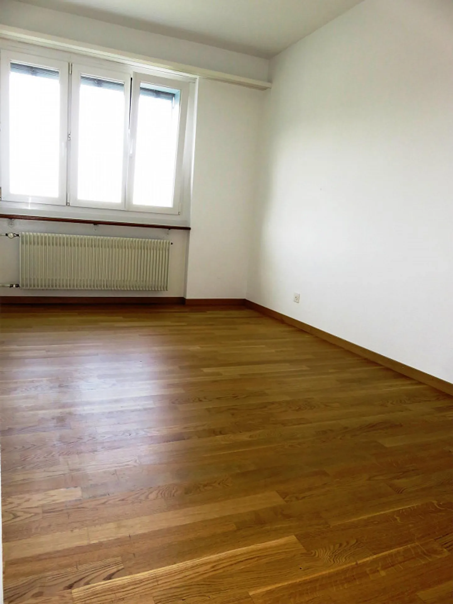 Meilleur rapport qualité-prix - Photo 3 sur 8