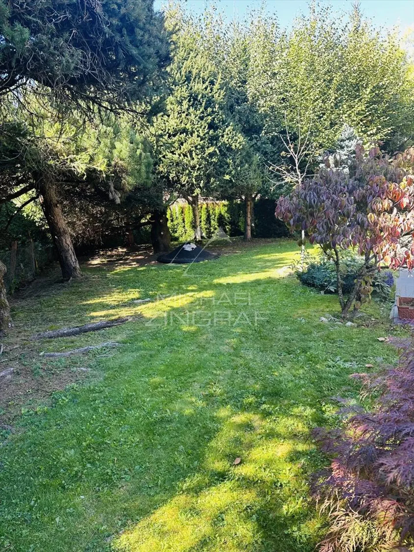 Appartamento 4 stanze - Foto 3 di 6