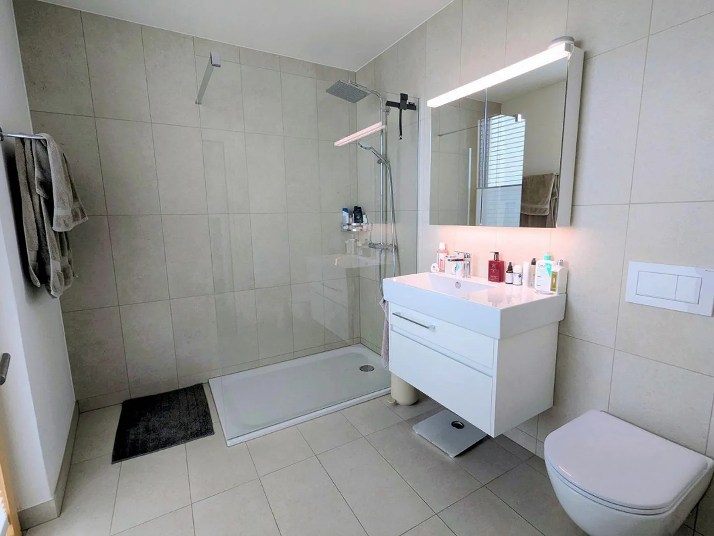 Penthouse-Wohnung in Zürich Höngg (Miete ab April reduziert) - Foto 9 von 20