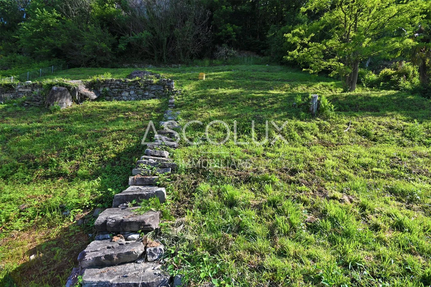 Terreno Terrassato con Esposizione Soleggiata - Foto 7 di 9