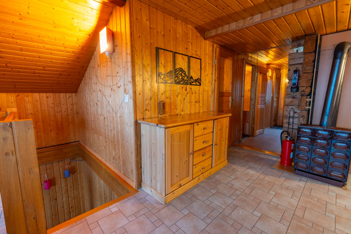 Chalet autonomo con vista panoramica - 5 camere a Villars-Ollon - Foto 20 di 30