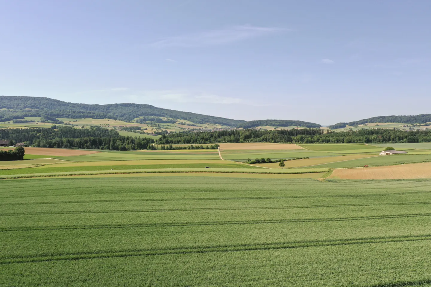 Rare Development Plot in Schneisingen - Photo 1 of 7