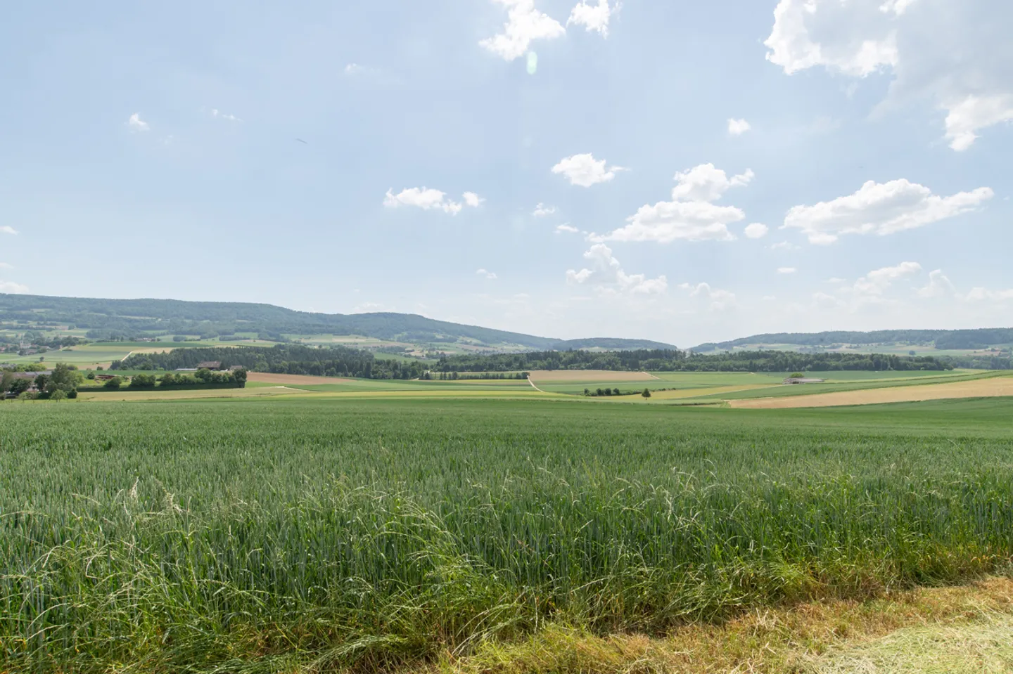 Rare Development Plot in Schneisingen - Photo 3 of 7