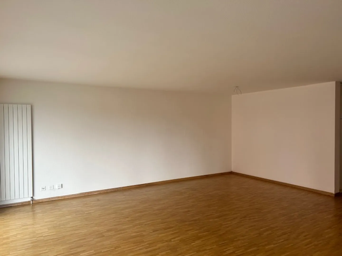 Appartamento 4.5 stanze - Foto 3 di 12