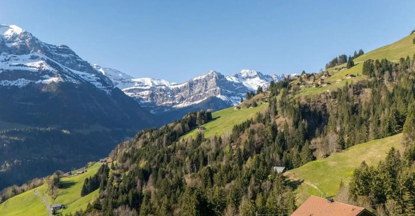 Exceptional Alpine Chalet Retreat - Photo 2 of 12
