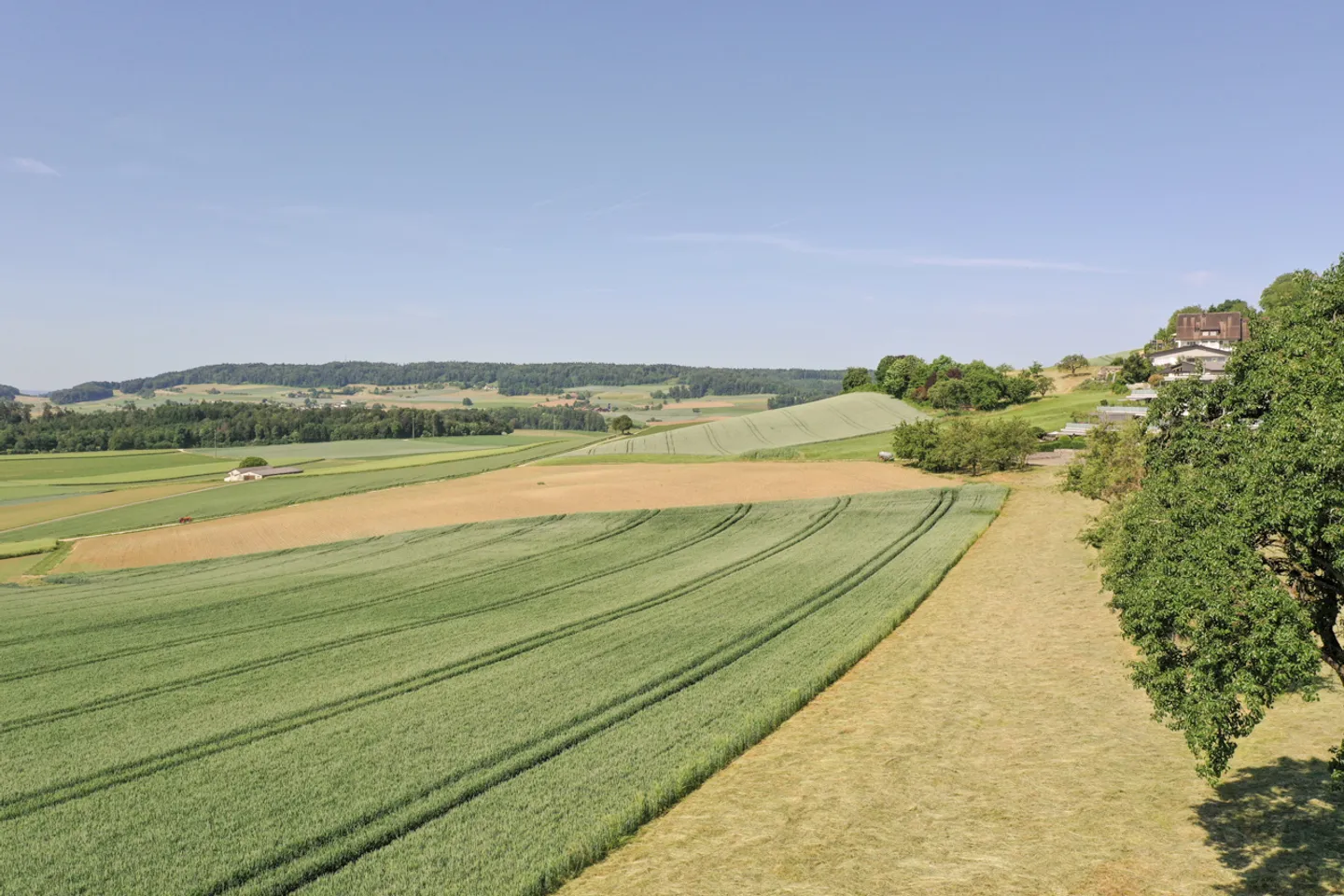 Rare Development Plot in Schneisingen - Photo 7 of 7