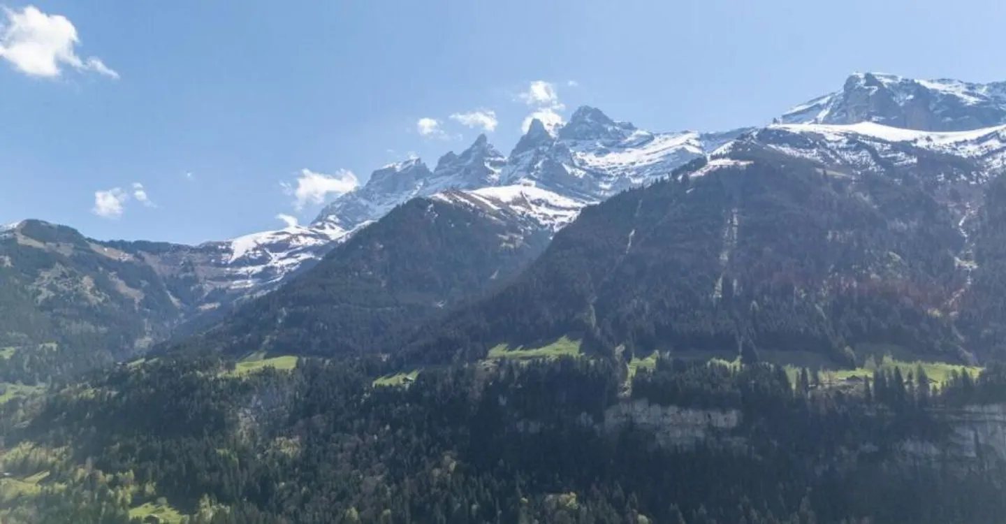 Exceptional Alpine Chalet Retreat - Photo 3 of 12