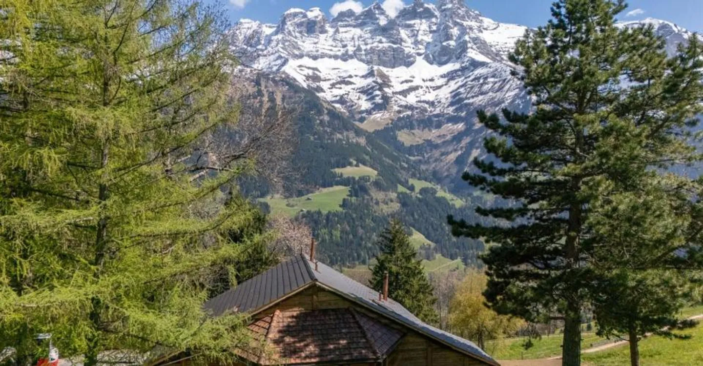 Exceptional Alpine Chalet Retreat - Photo 5 of 12