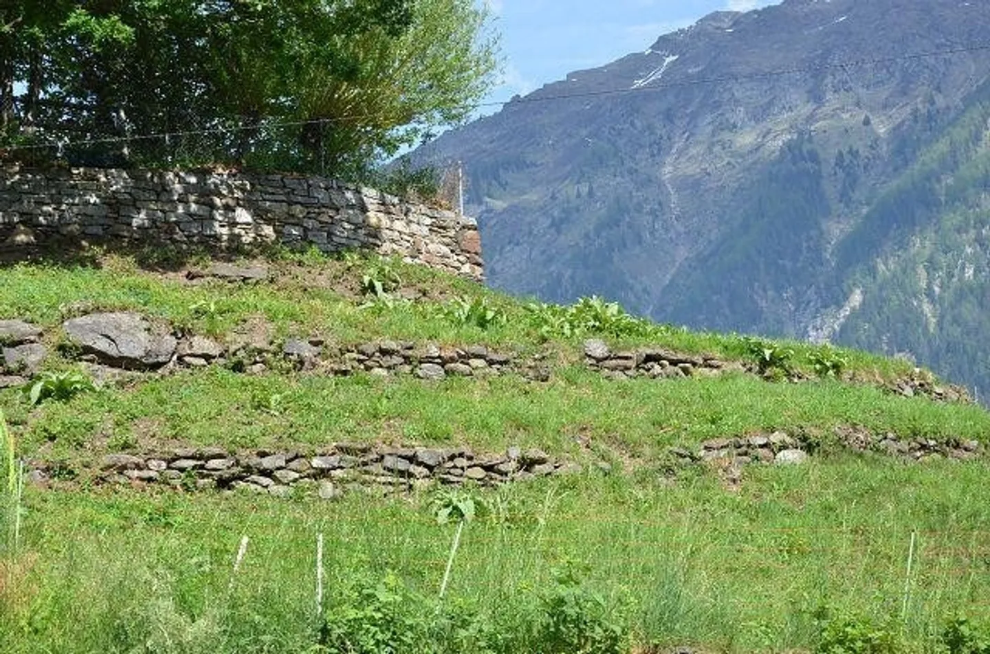 Vier Dorfhäuser mit großem Garten - Foto 27 von 46