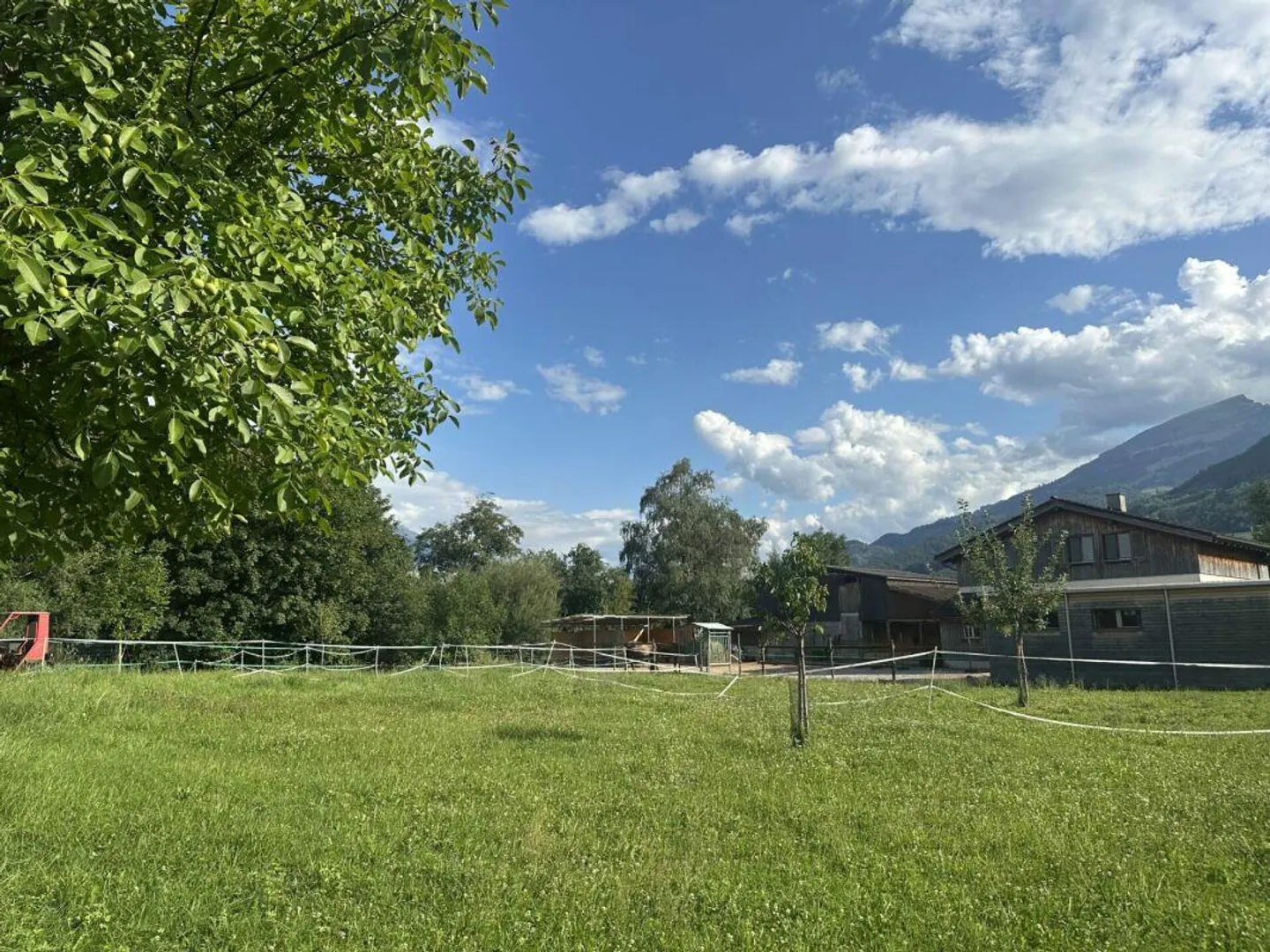 Unique opportunity: spacious property with single-family house... - Photo 2 of 15