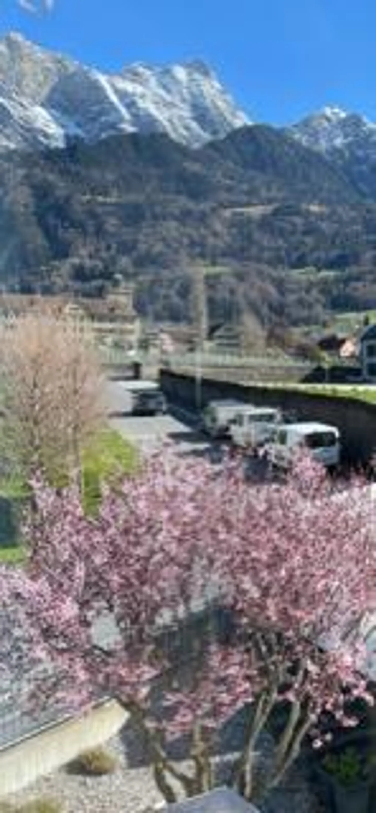 Bündner Herrschaft: after complete renovation exclusive loft for rent - Photo 18 of 22