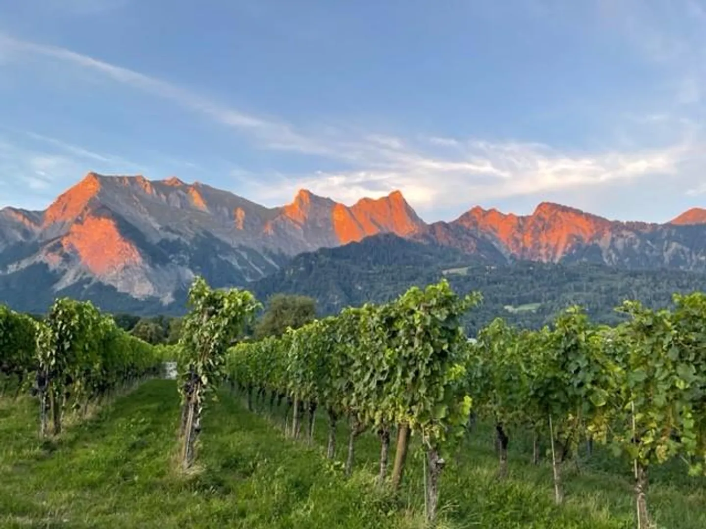 Bündner Herrschaft: after complete renovation exclusive loft for rent - Photo 22 of 22