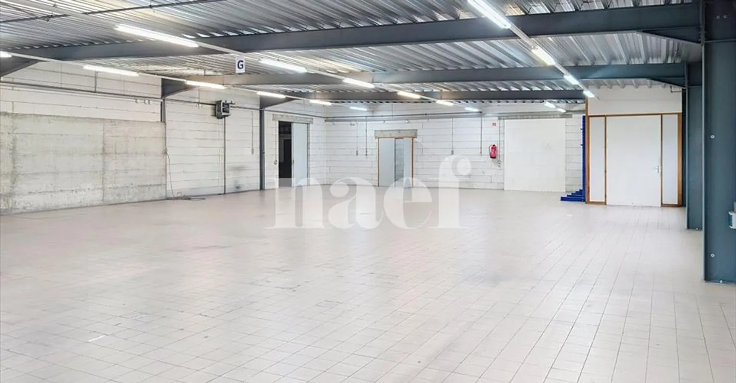 Edificio ad uso misto in affitto - Foto 4 di 16