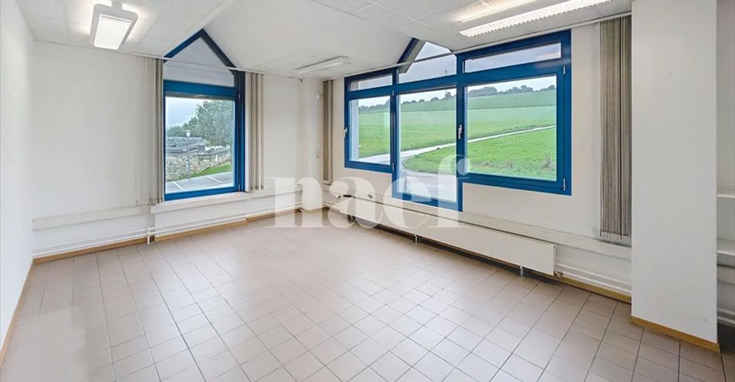 Edificio ad uso misto in affitto - Foto 5 di 16