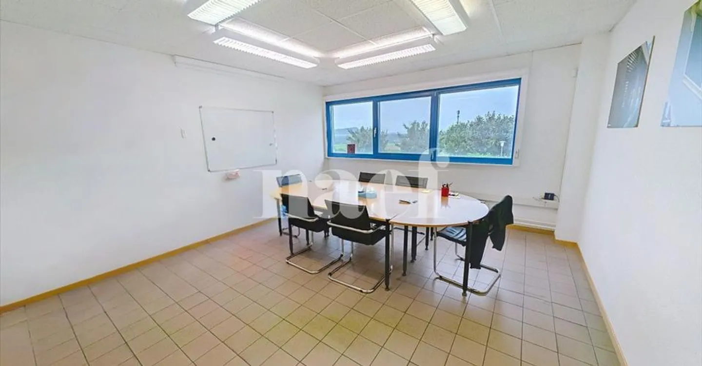 Edificio ad uso misto in affitto - Foto 6 di 16