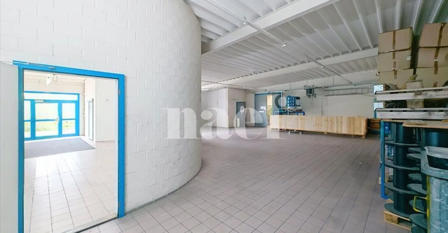 Edificio ad uso misto in affitto - Foto 7 di 16