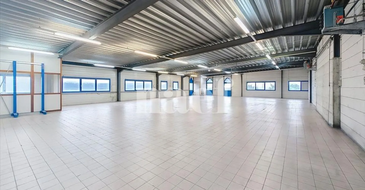 Edificio ad uso misto in affitto - Foto 9 di 16