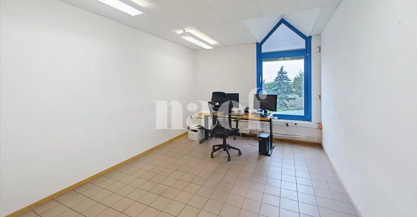 Edificio ad uso misto in affitto - Foto 10 di 16