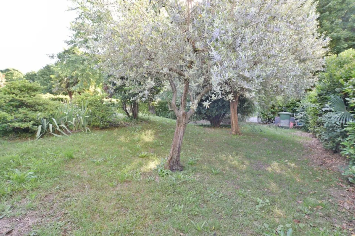 Residential Land - Photo 2 of 4