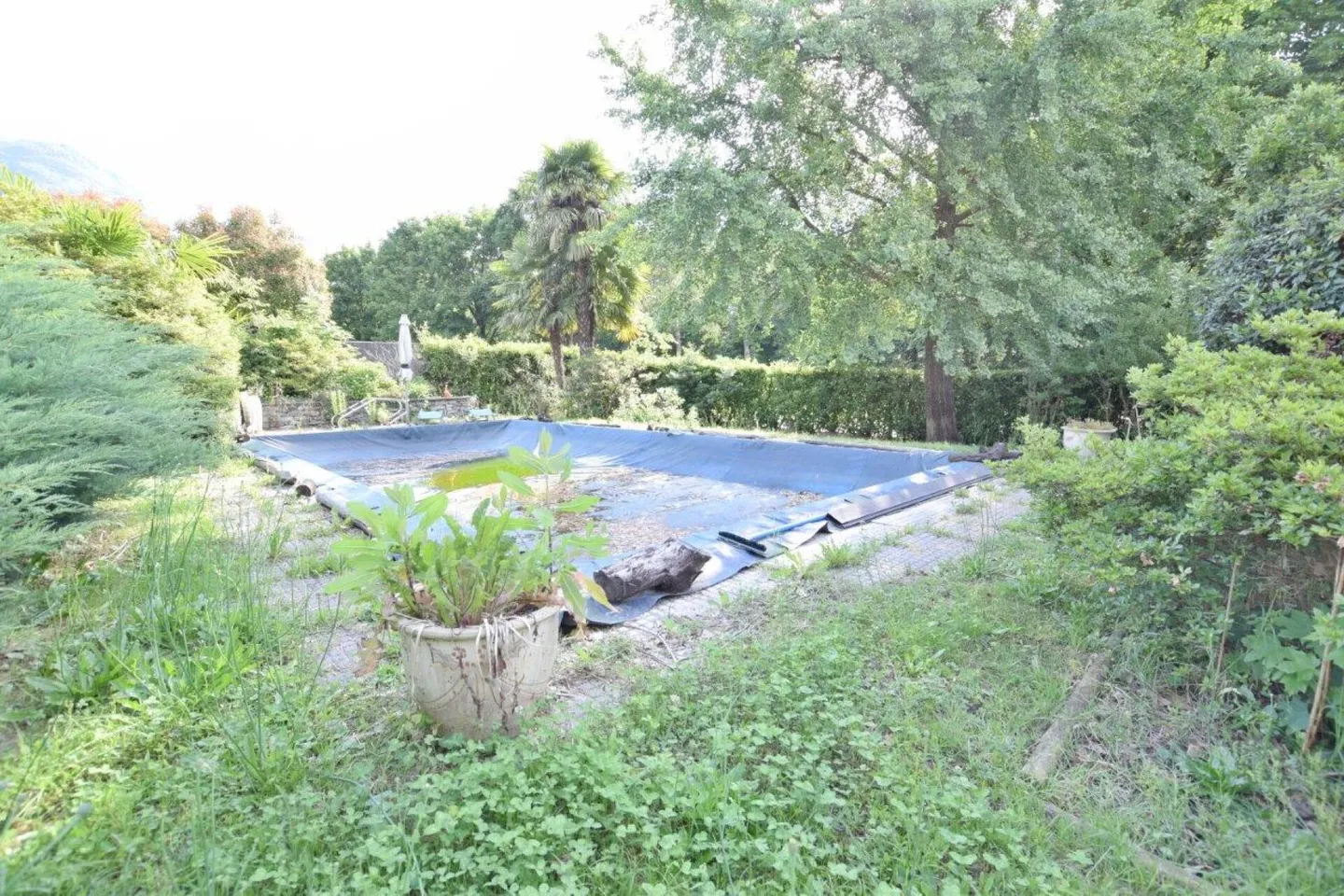 Residential Land - Photo 3 of 4