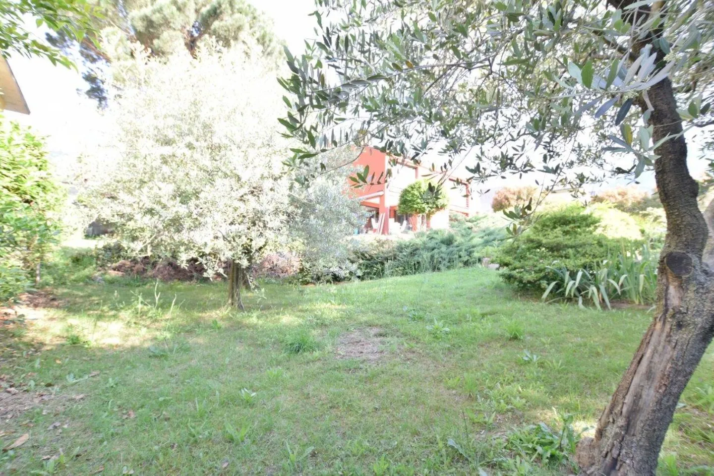 Residential Land - Photo 4 of 4