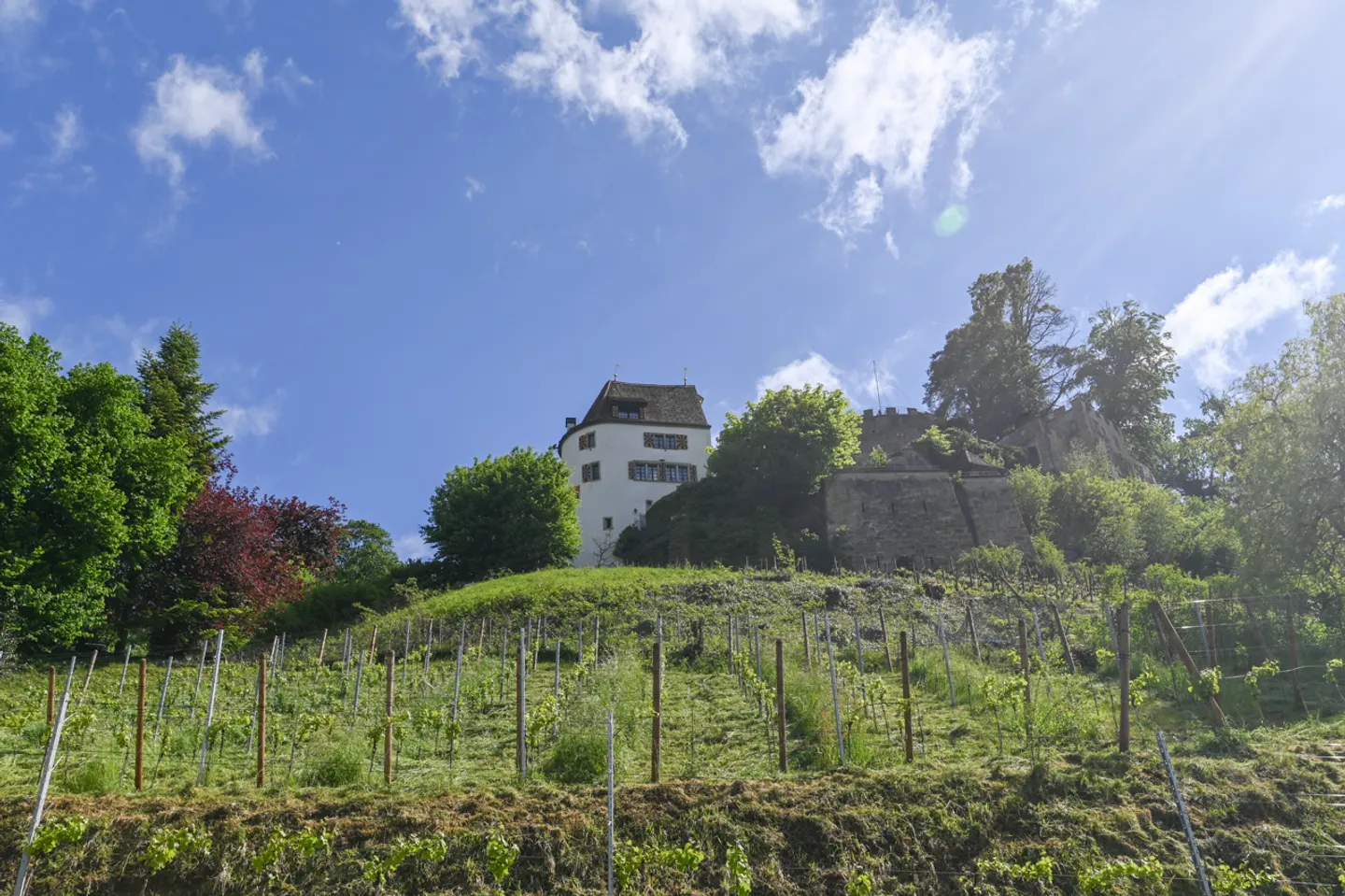 Casa da amare ai piedi della Trostburg con impianto fotovoltaico e pompa di calore - Foto 14 di 14