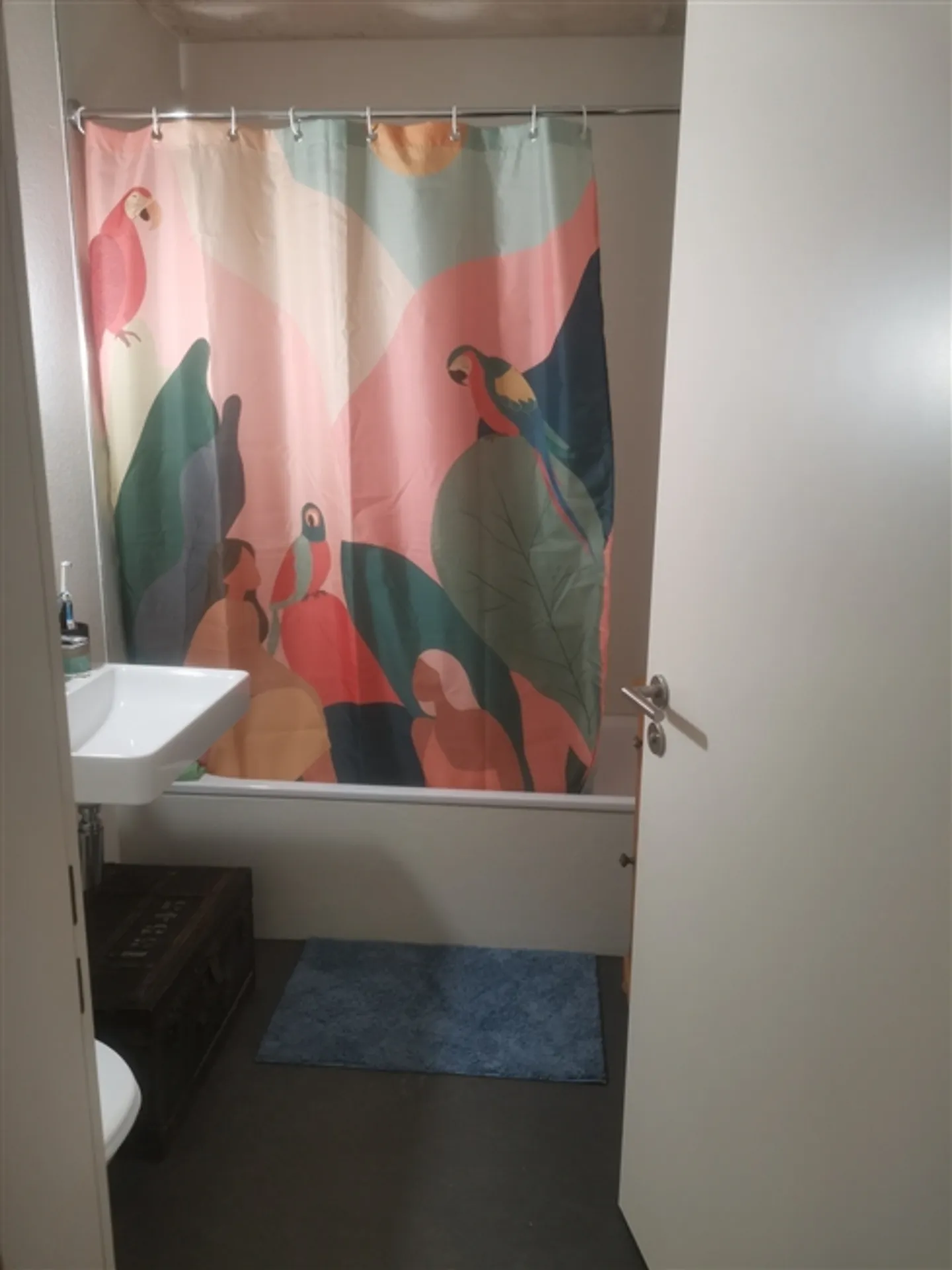 Appartamento 4 locali a Berna - Bern-Felsenau, arredato, temporaneo - Foto 7 di 7