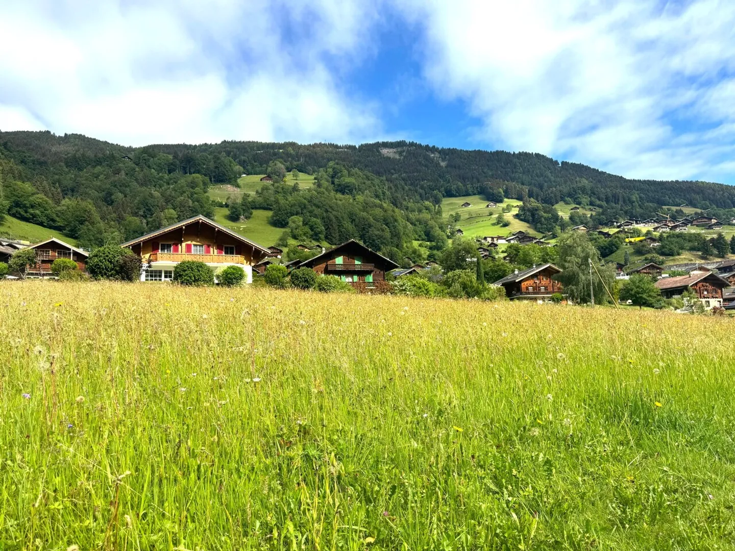 Baugrundstück in Val-d'Illiez - Foto 1 von 2