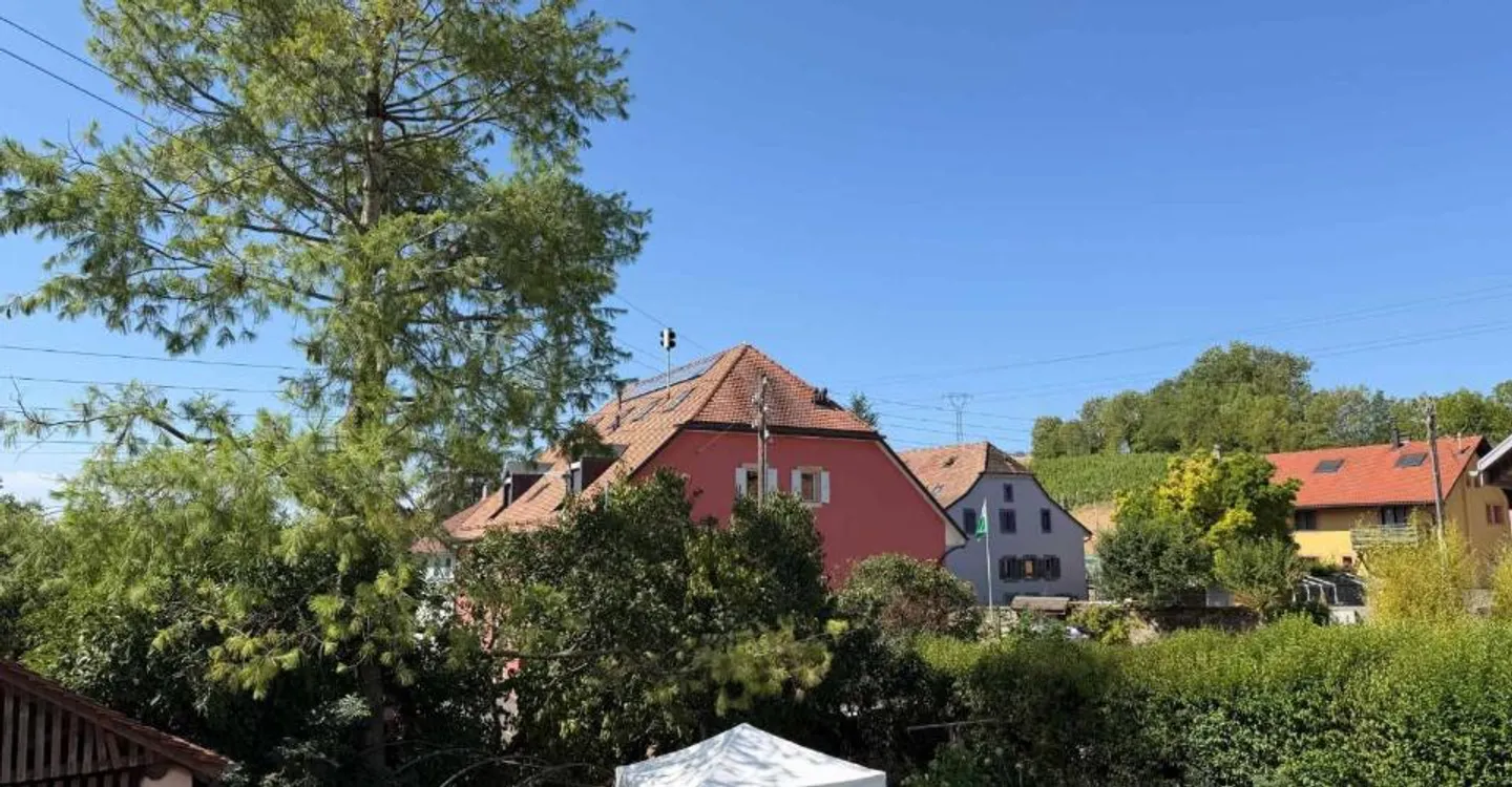 Charmante Maison de Village - Photo 6 sur 8