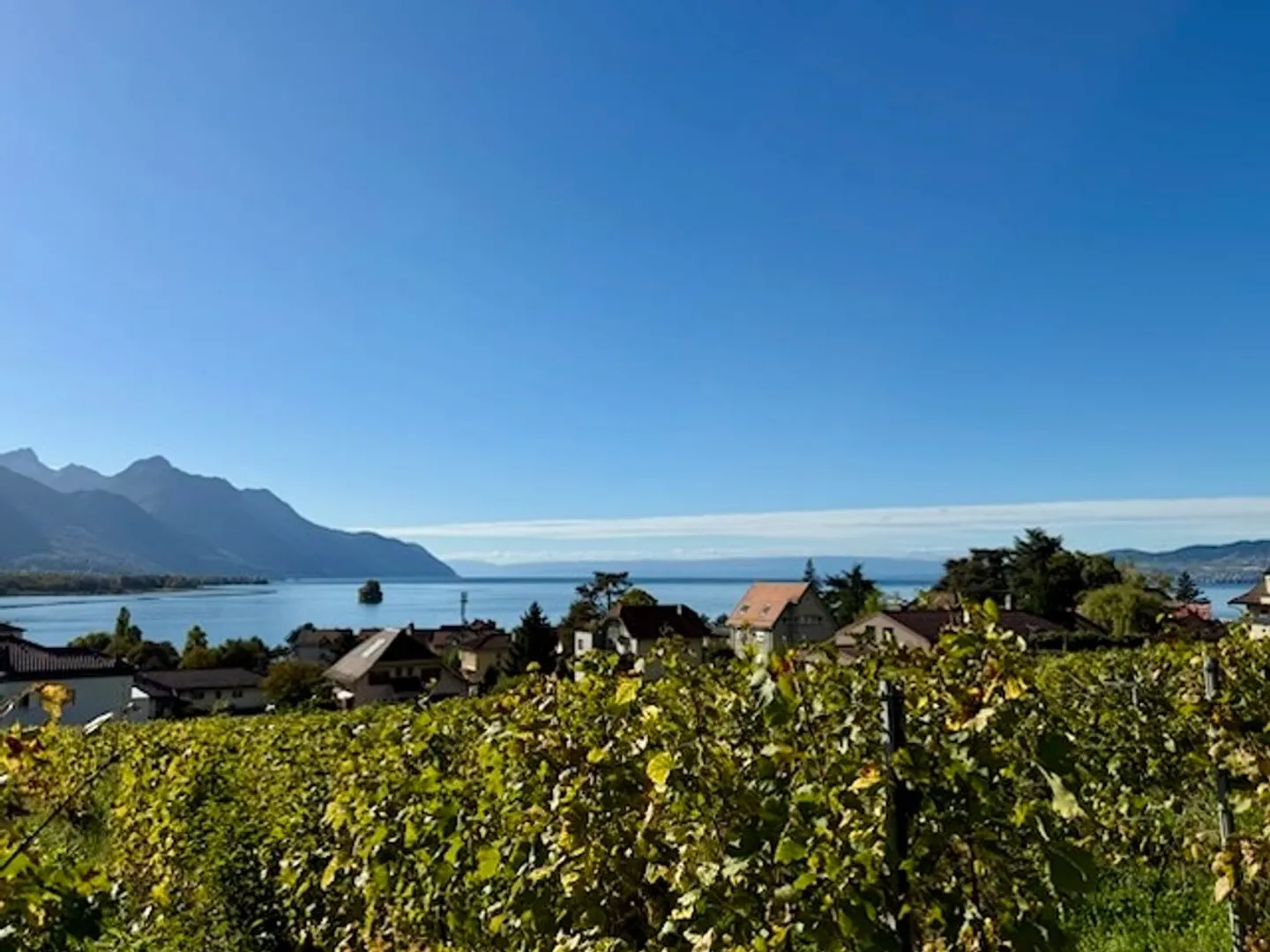 Two exceptional apartments, quiet residential area, close to the lake and the city - Photo 1 of 1