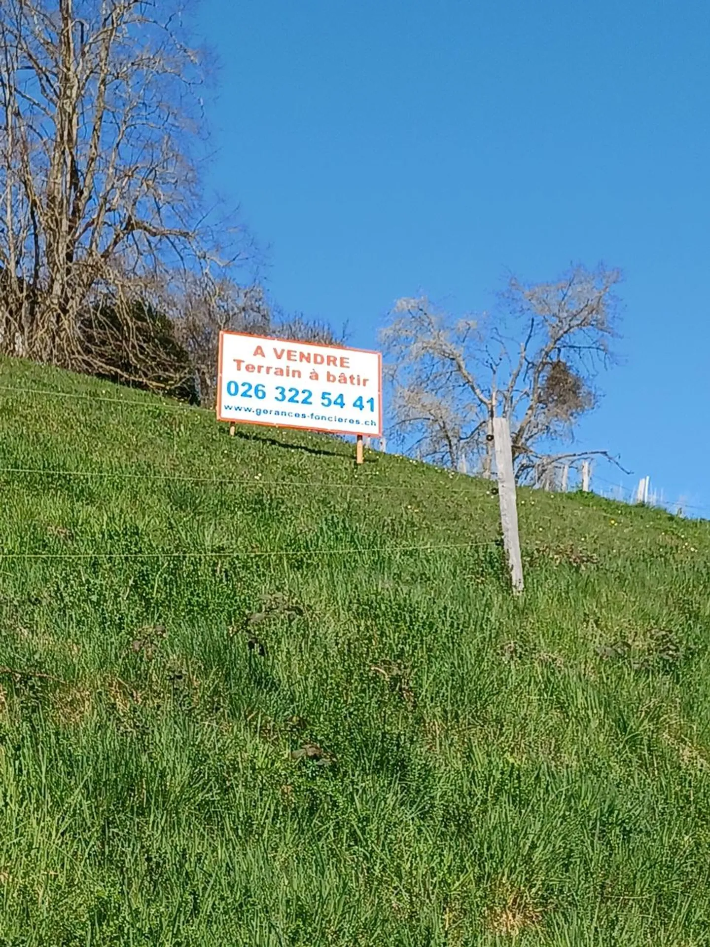 LE BRY - TERRAIN A BATIR - Photo 1 sur 3