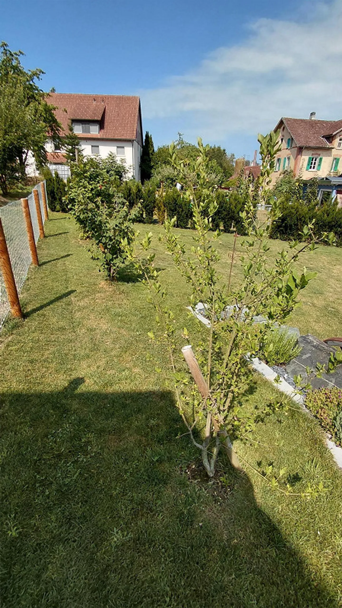 Recherche d'un nouveau locataire à partir du 1er octobre 2026 - Photo 3 sur 3
