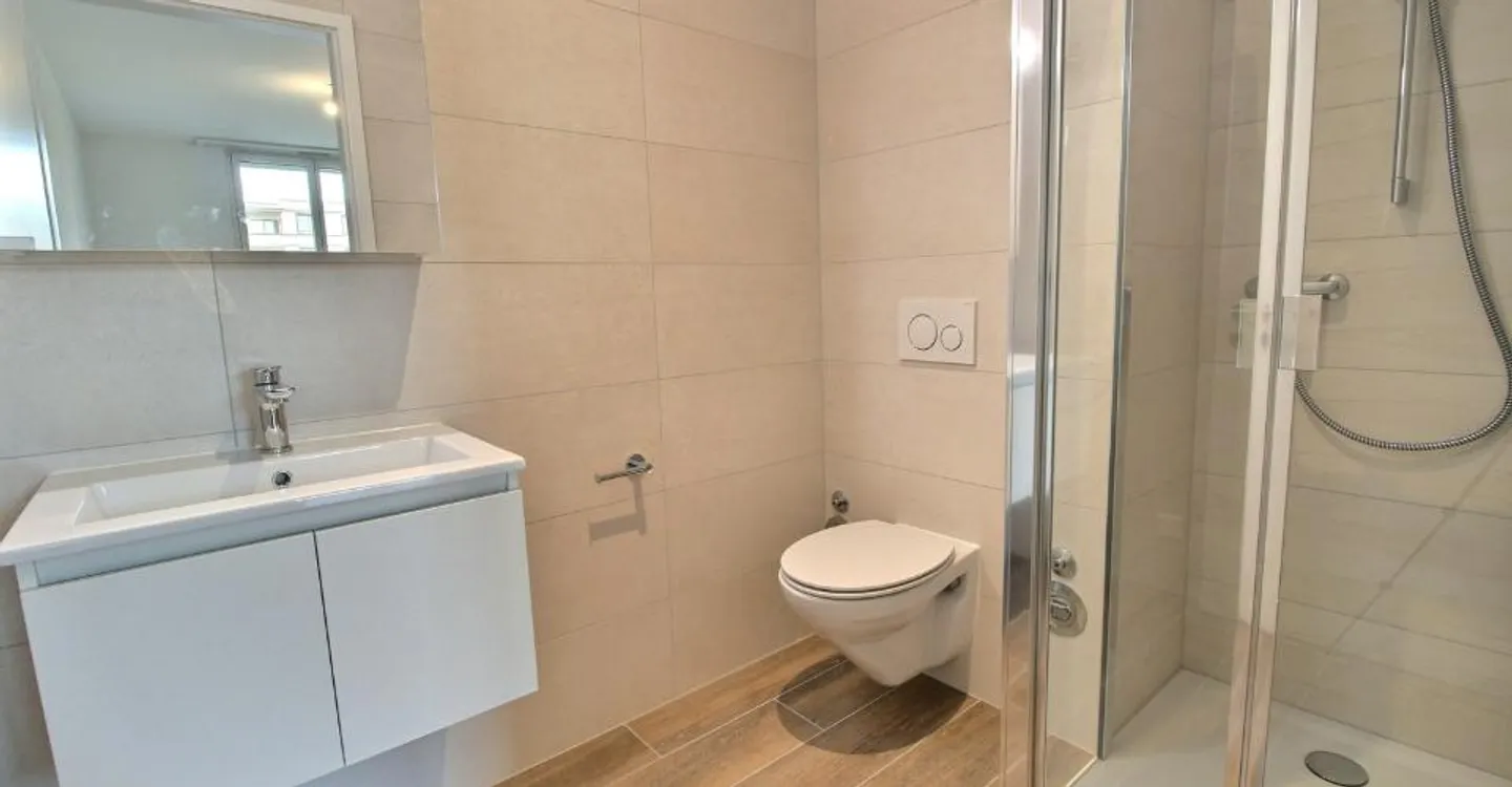 New 4.5-room apartment for rent - Photo 6 of 12