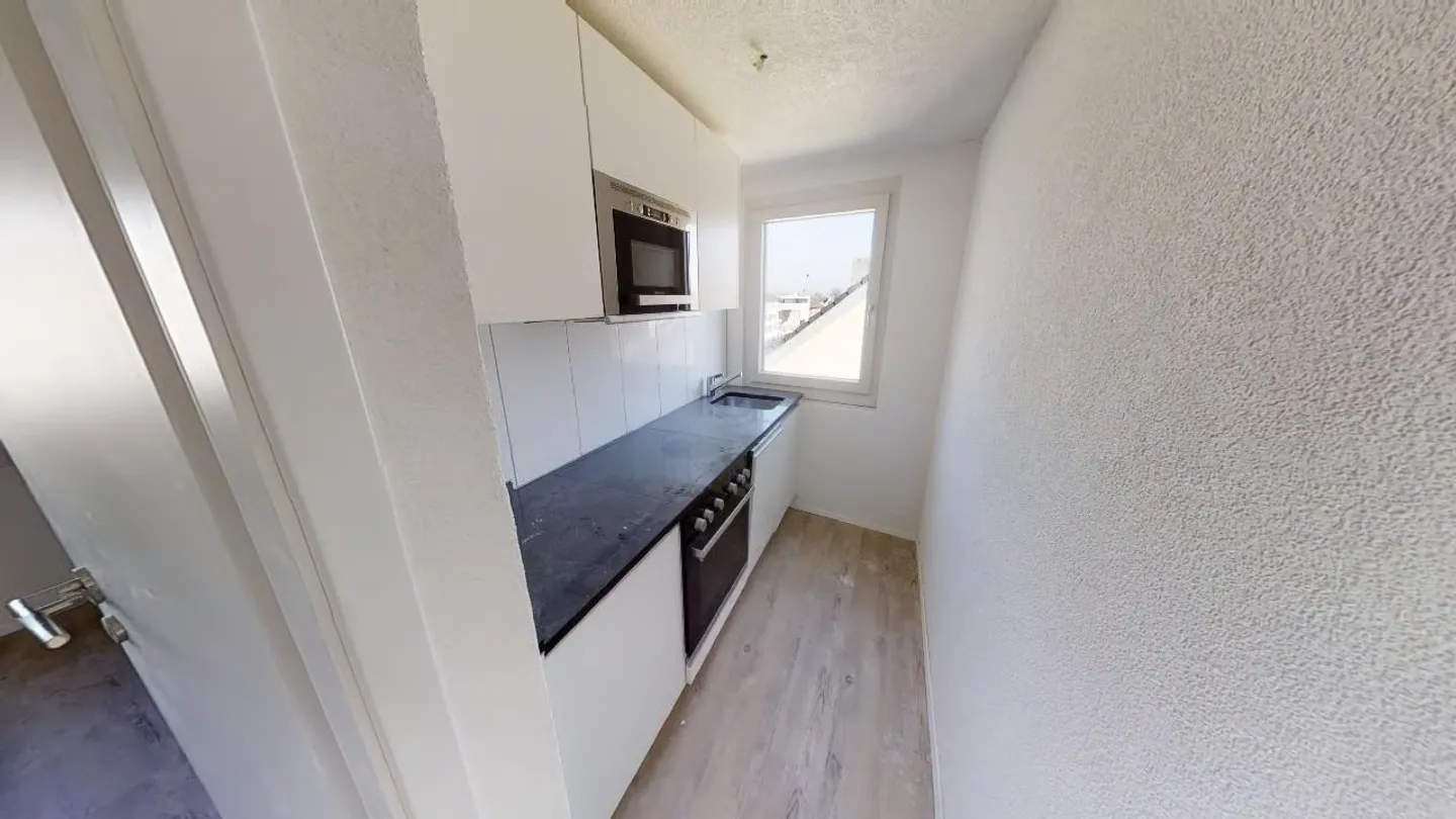 Renovated Attic Duplex Apartment on the Boulevard: 500m to Konstanz, 700m to the Train Station - Photo 5 of 6