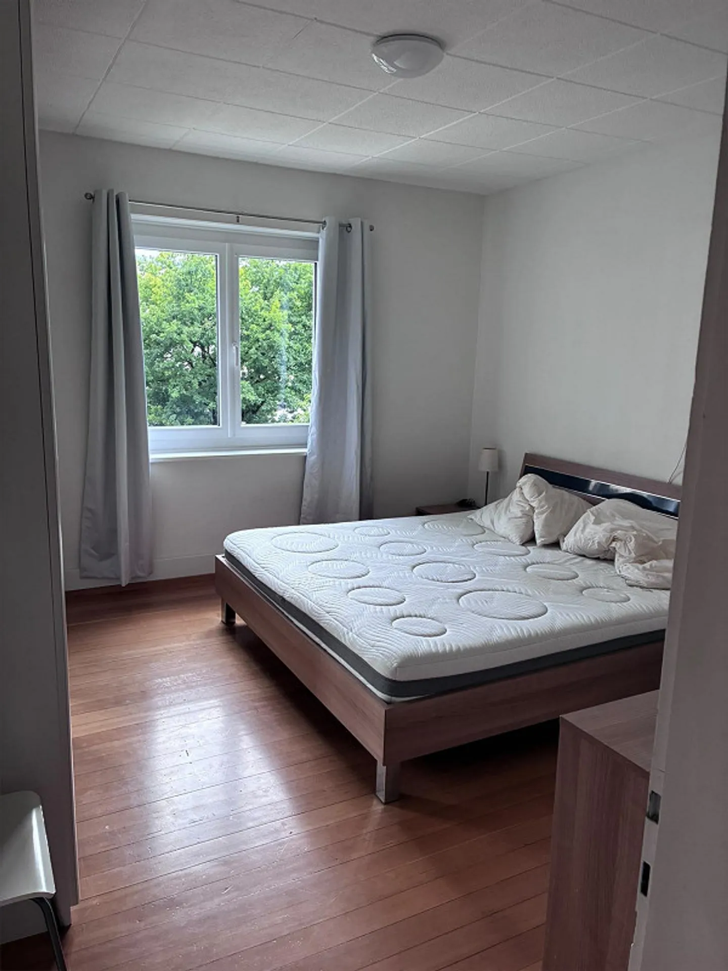 Bright 4-room apartment in an attractive location in Chur - Photo 4 of 11