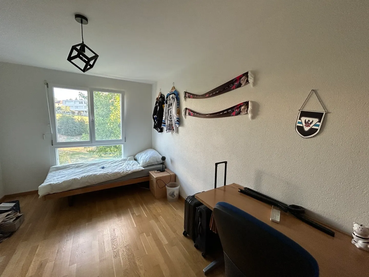 Spacious Apartment with Large Balcony - Photo 7 of 12