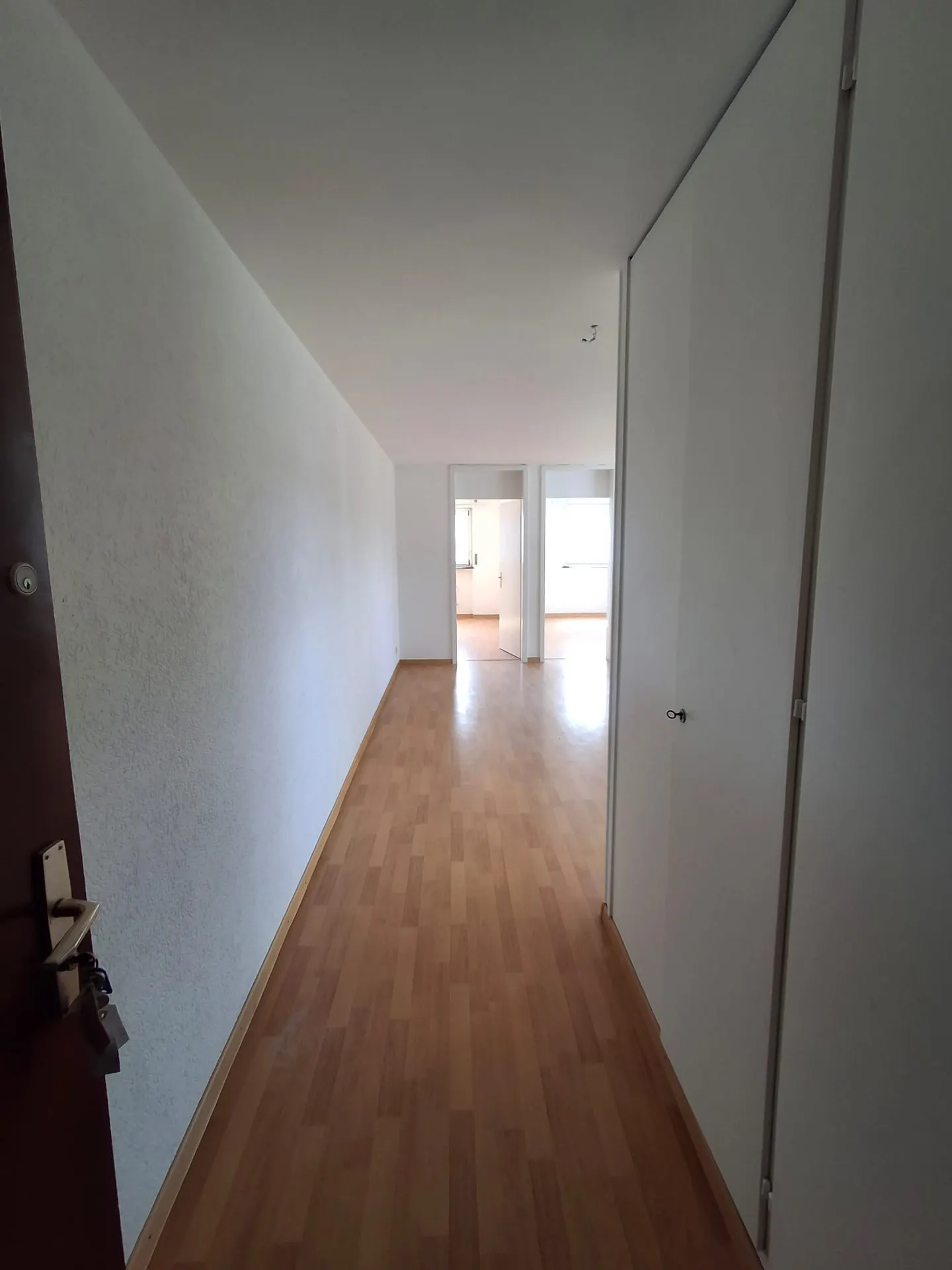 Renovated 3.5 Room Apartment - Photo 5 of 5