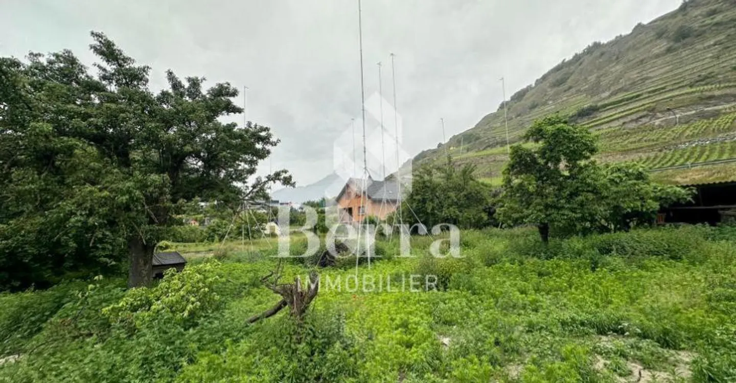 Charming Studio with Garden - Photo 5 of 12