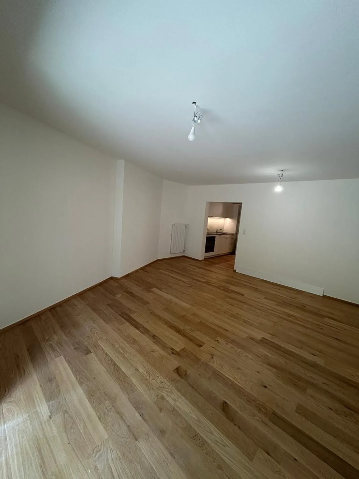 Freshly renovated single apartment with terrace for rent - Photo 2 of 5
