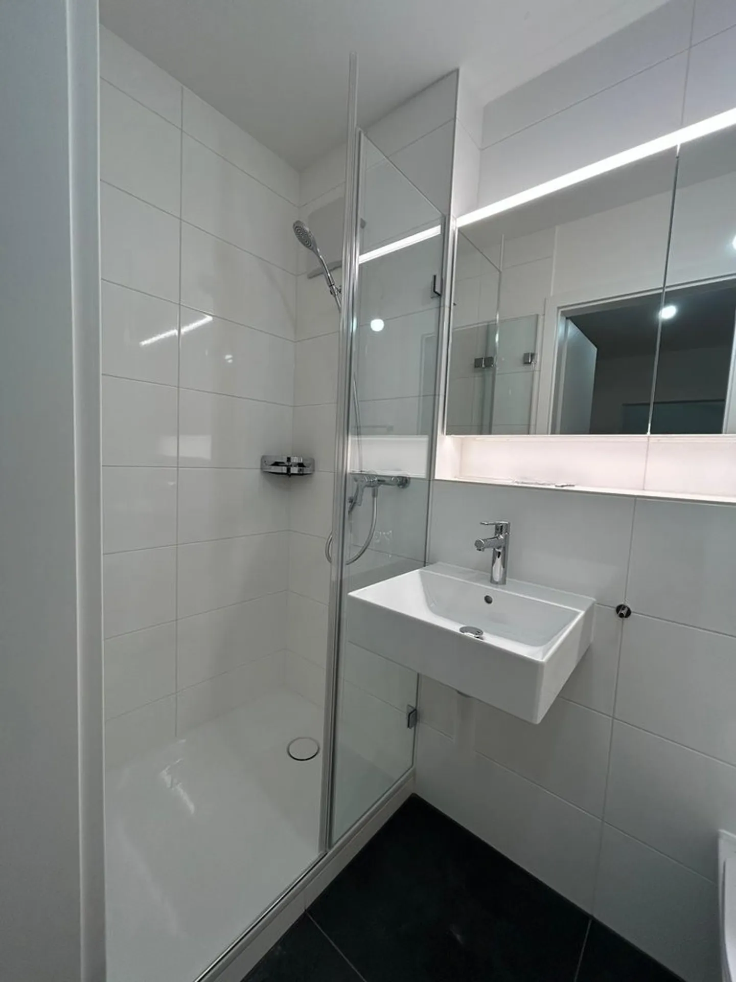 Freshly renovated single apartment with terrace for rent - Photo 4 of 5