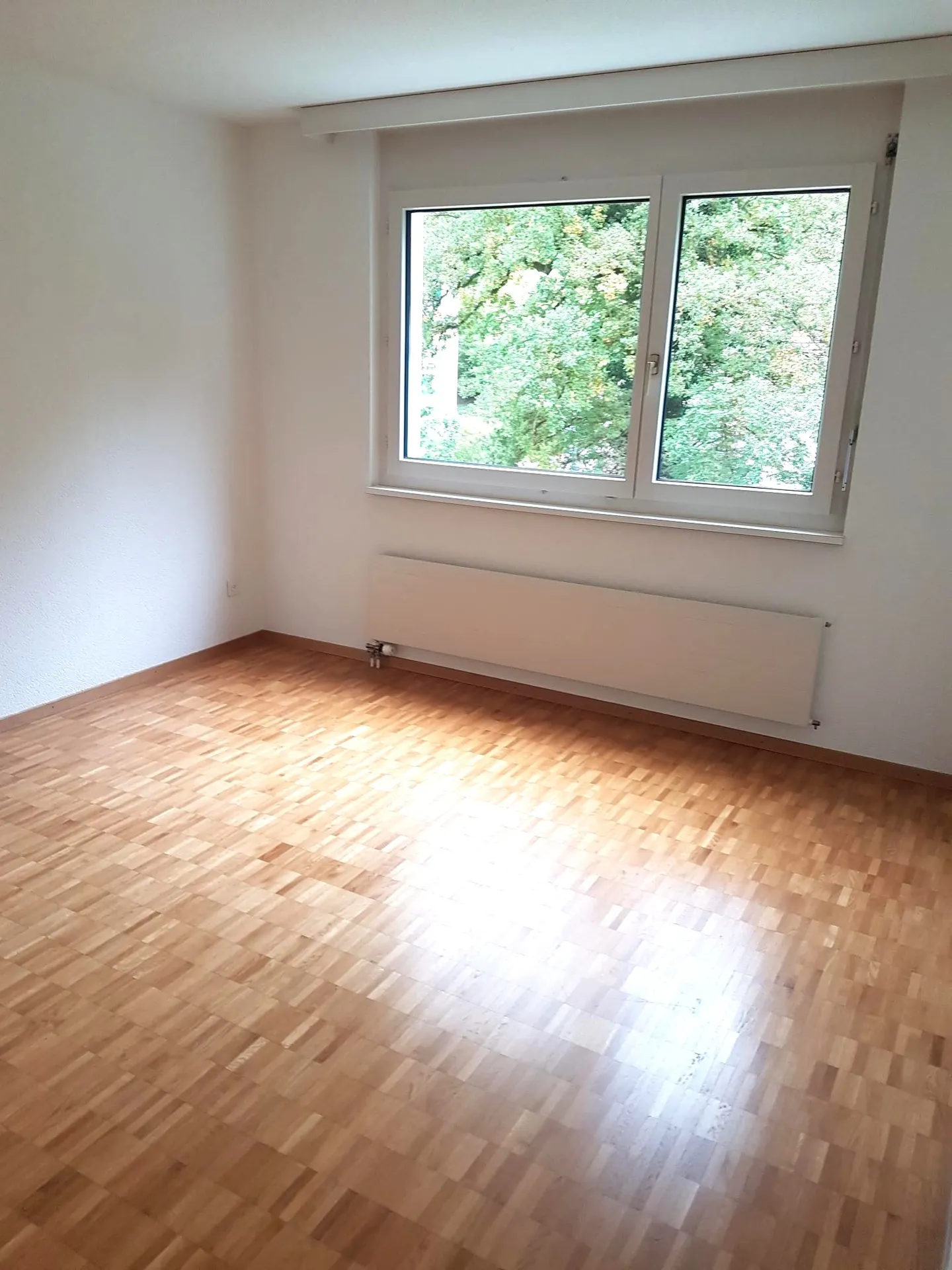 Bright 2.5-Room Apartment - Photo 1 of 4