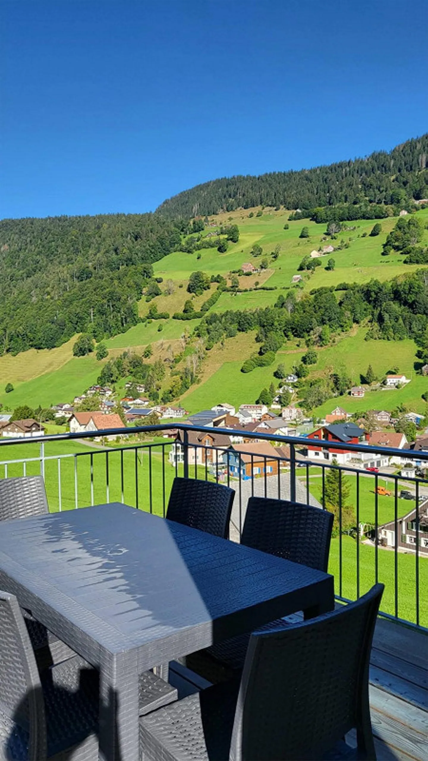 Toggenburg Villa with Wellness and Panoramic View - Photo 2 of 8