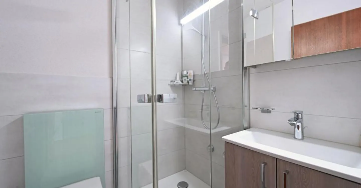 Appartamento attico di 4.5 locali con ampia vista e grande terrazza - Foto 8 di 10